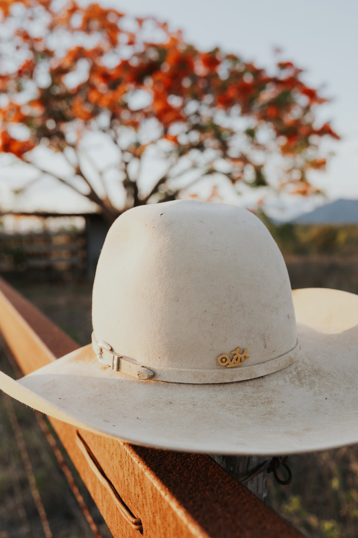 Gold Hat Pin