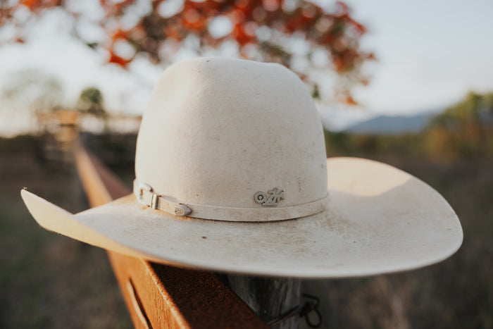 Silver Hat Pin