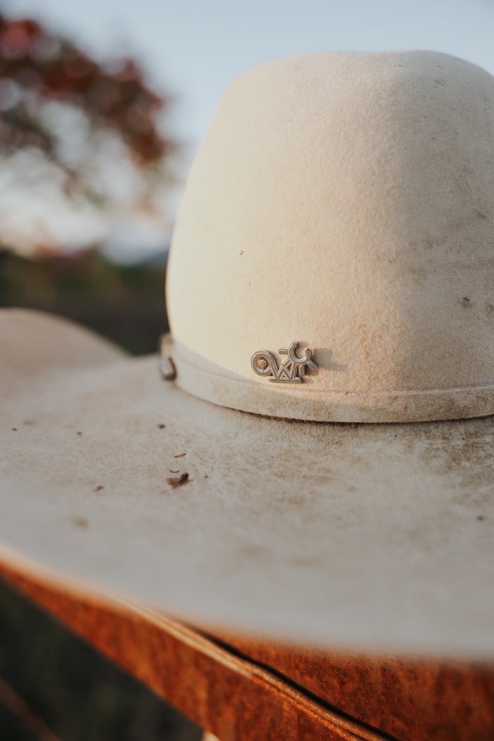 Silver Hat Pin