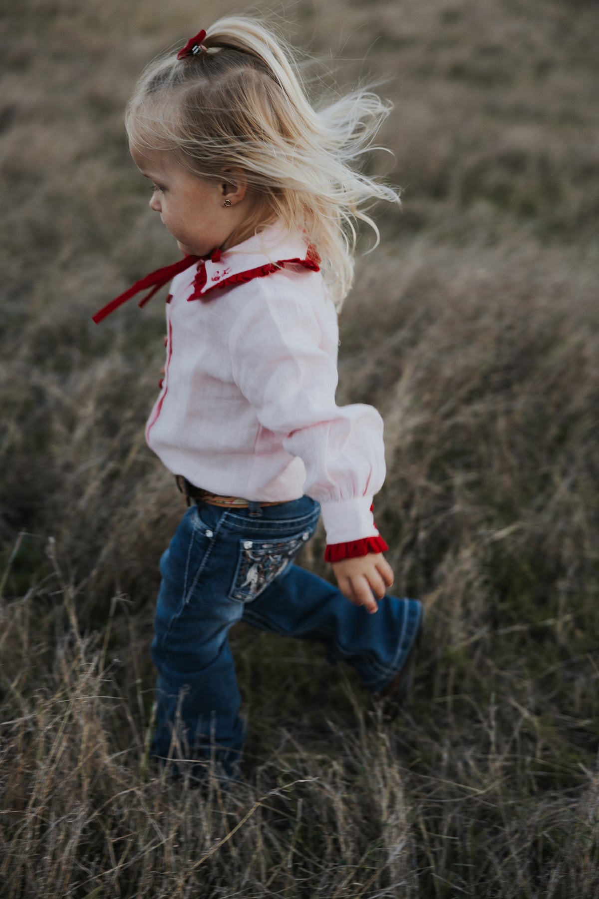 Sophie Blouse Mini
